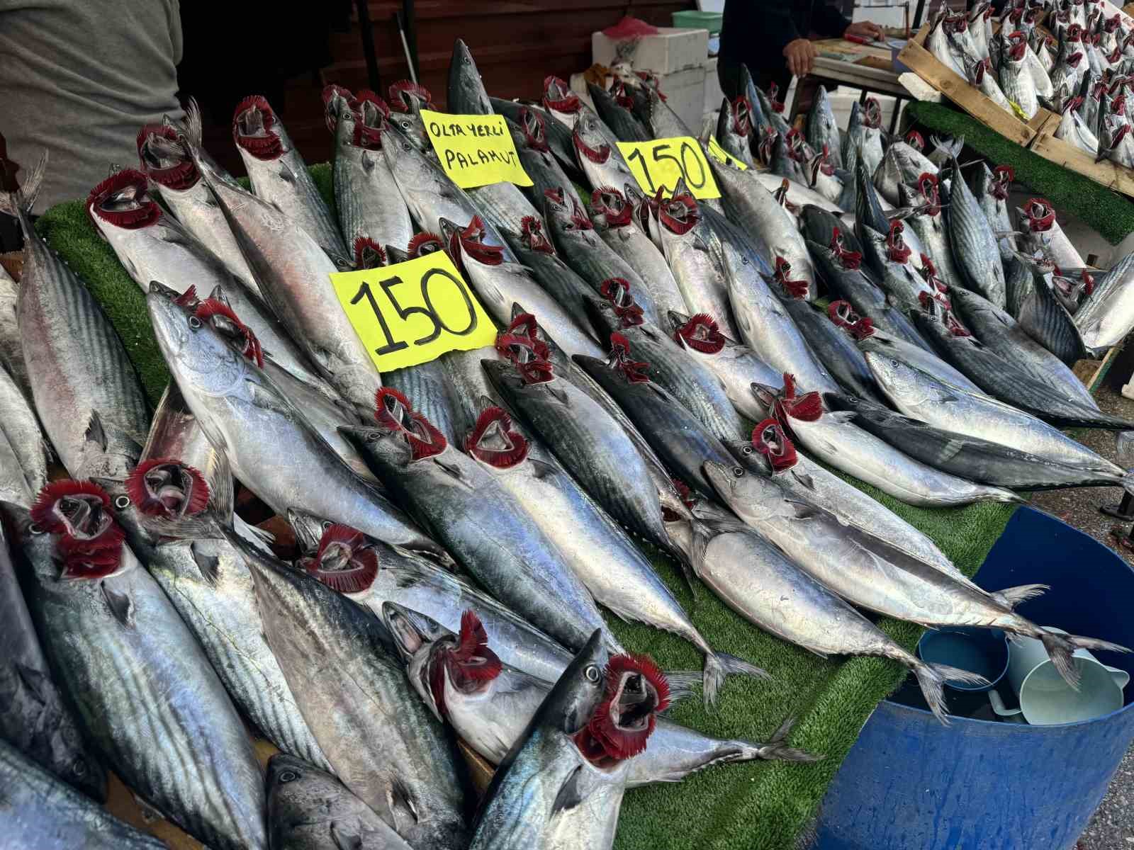 Palamut fiyatı düştü, vatandaş ilgi gösterdi
