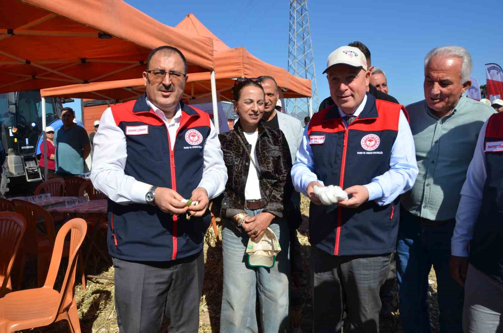 Denizli’de beyaz altın hasadı başladı
