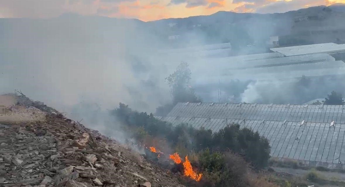 Alanya’da avokado bahçesinde yangın: 60 ağaç kül oldu
