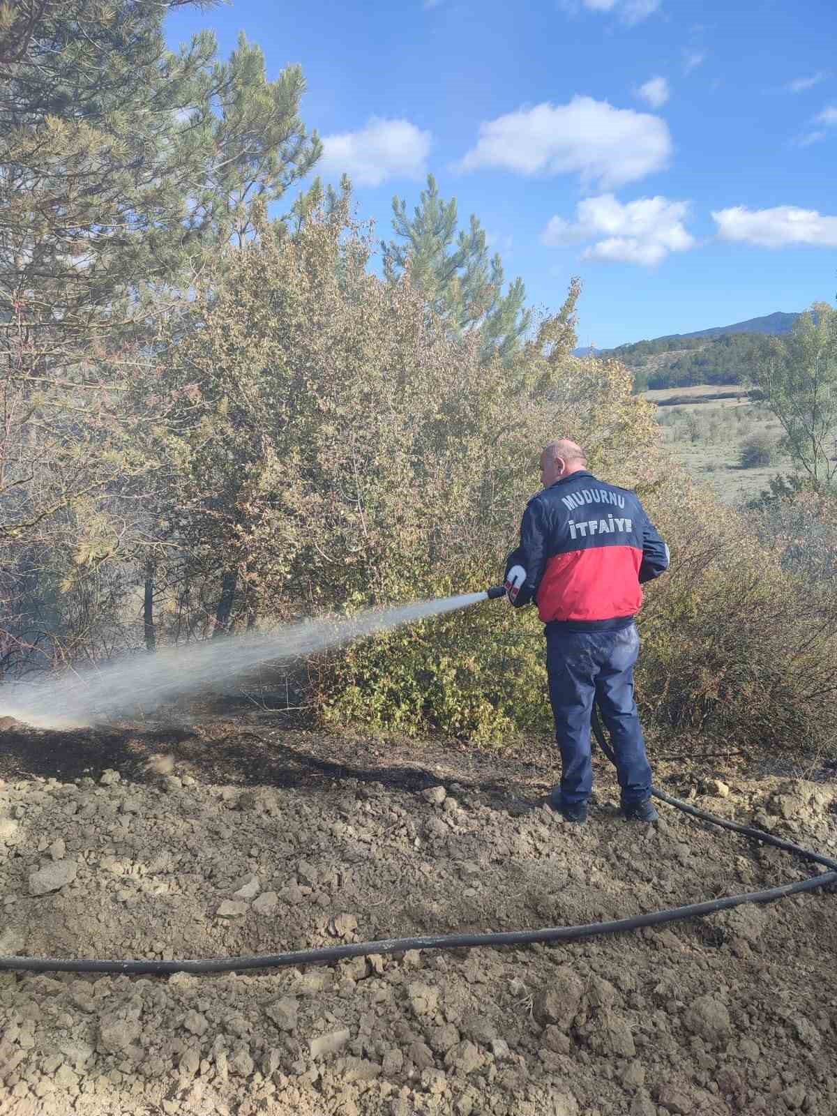 Ot yangını ormana sıçramadan söndürüldü
