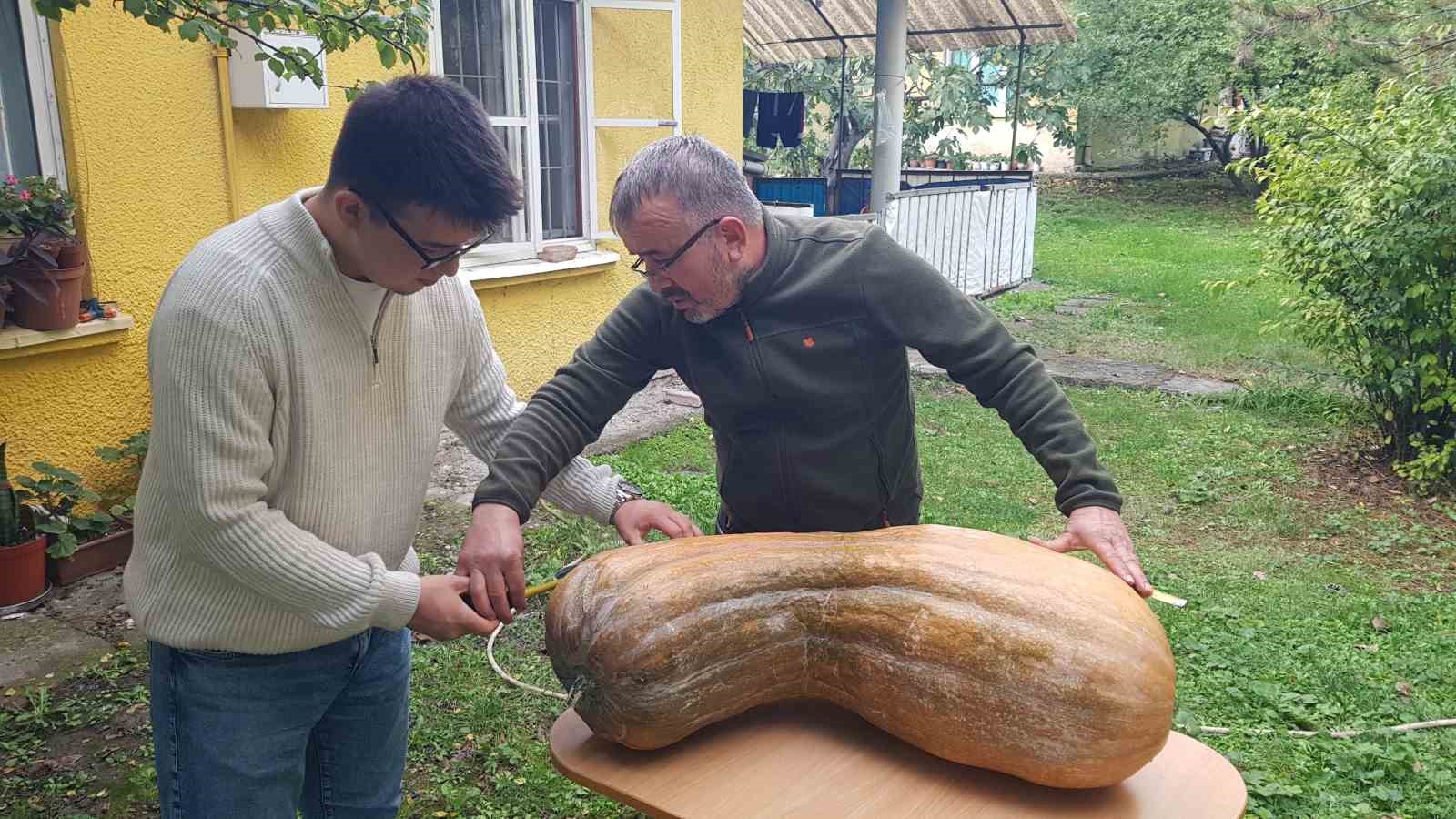 40 kilogramlık 110 santimetrelik kabak görenleri şaşırttı
