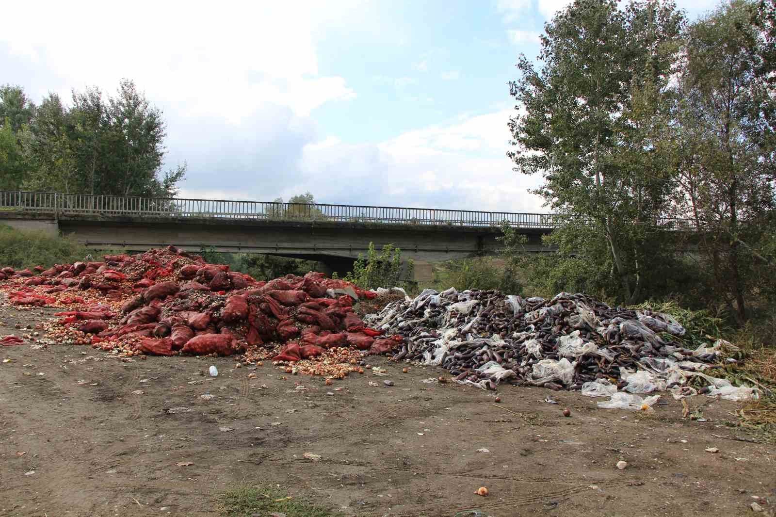 Yeşilırmak Nehri’nin kıyısına çuvallar dolusu soğan ve patlıcan döküldü
