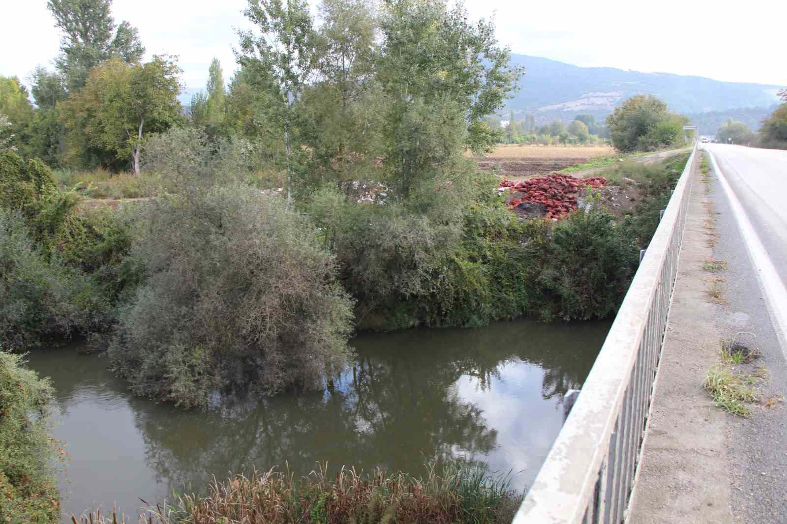 Yeşilırmak Nehri’nin kıyısına çuvallar dolusu soğan ve patlıcan döküldü
