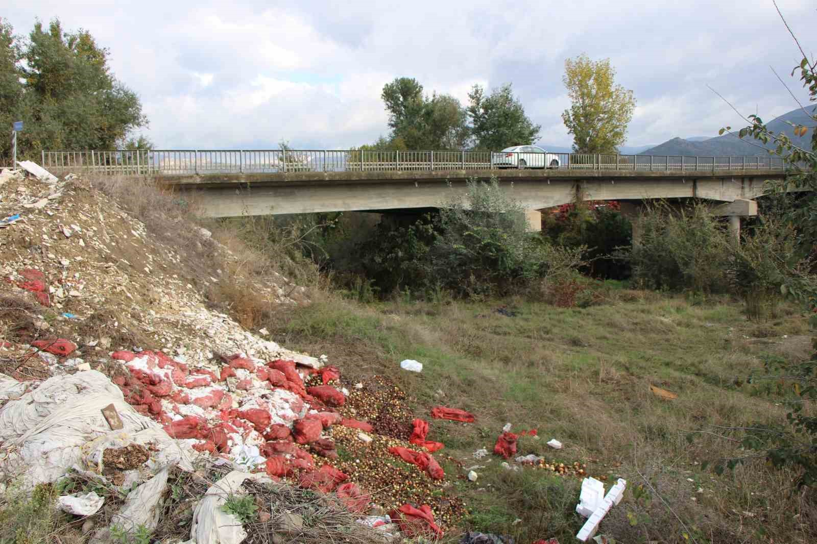 Yeşilırmak Nehri’nin kıyısına çuvallar dolusu soğan ve patlıcan döküldü
