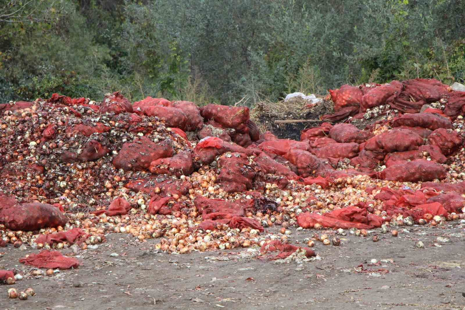 Yeşilırmak Nehri’nin kıyısına çuvallar dolusu soğan ve patlıcan döküldü
