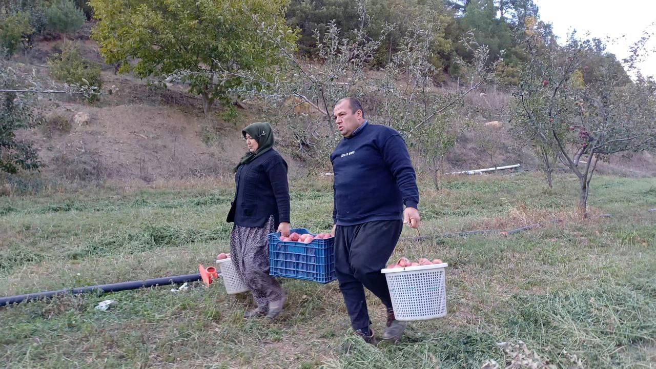 Adana’da zirveye kar yağdı, elma hasadı erken yapıldı
