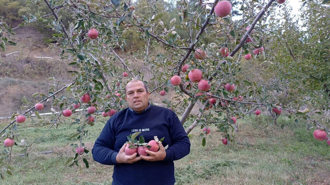 Adana’da zirveye kar yağdı, elma hasadı erken yapıldı
