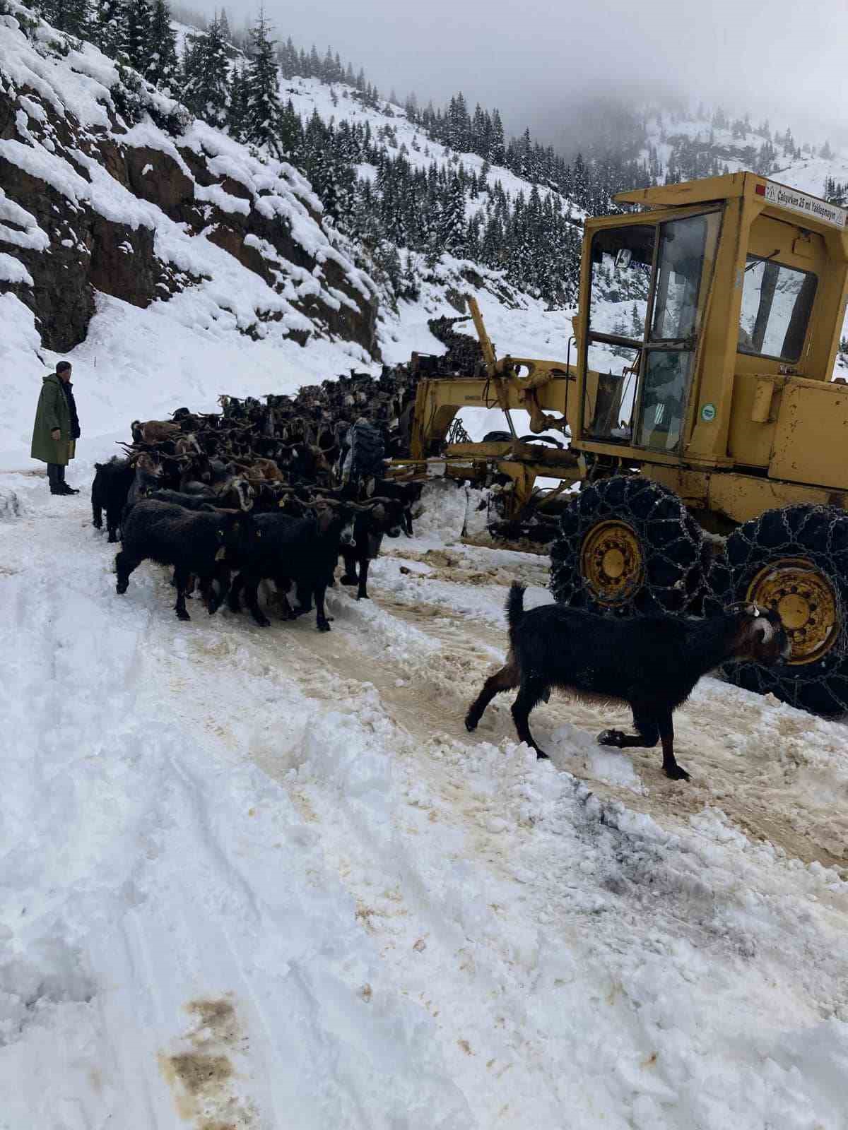 Giresun’da kar yağışı nedeniyle mahsur kalan çobanlar kurtarıldı
