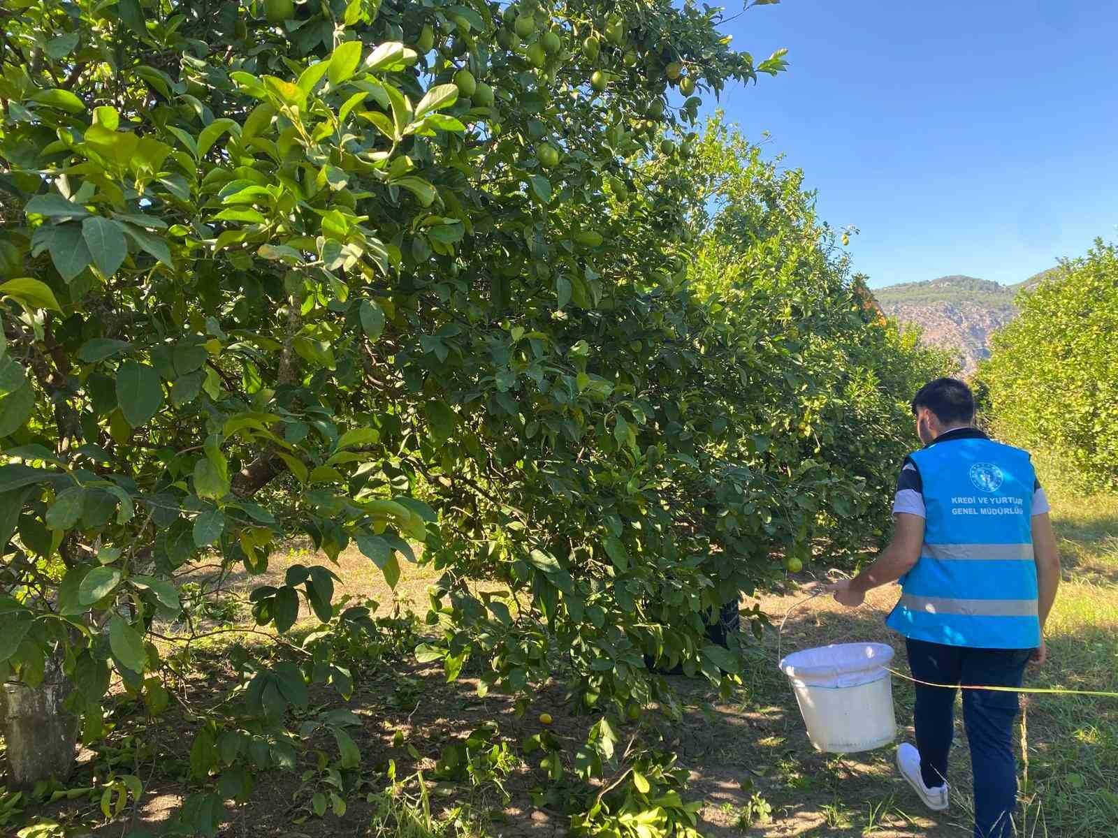 Yurt öğrencileri Muğla’da tarihi ve doğal güzellikleri keşfetti
