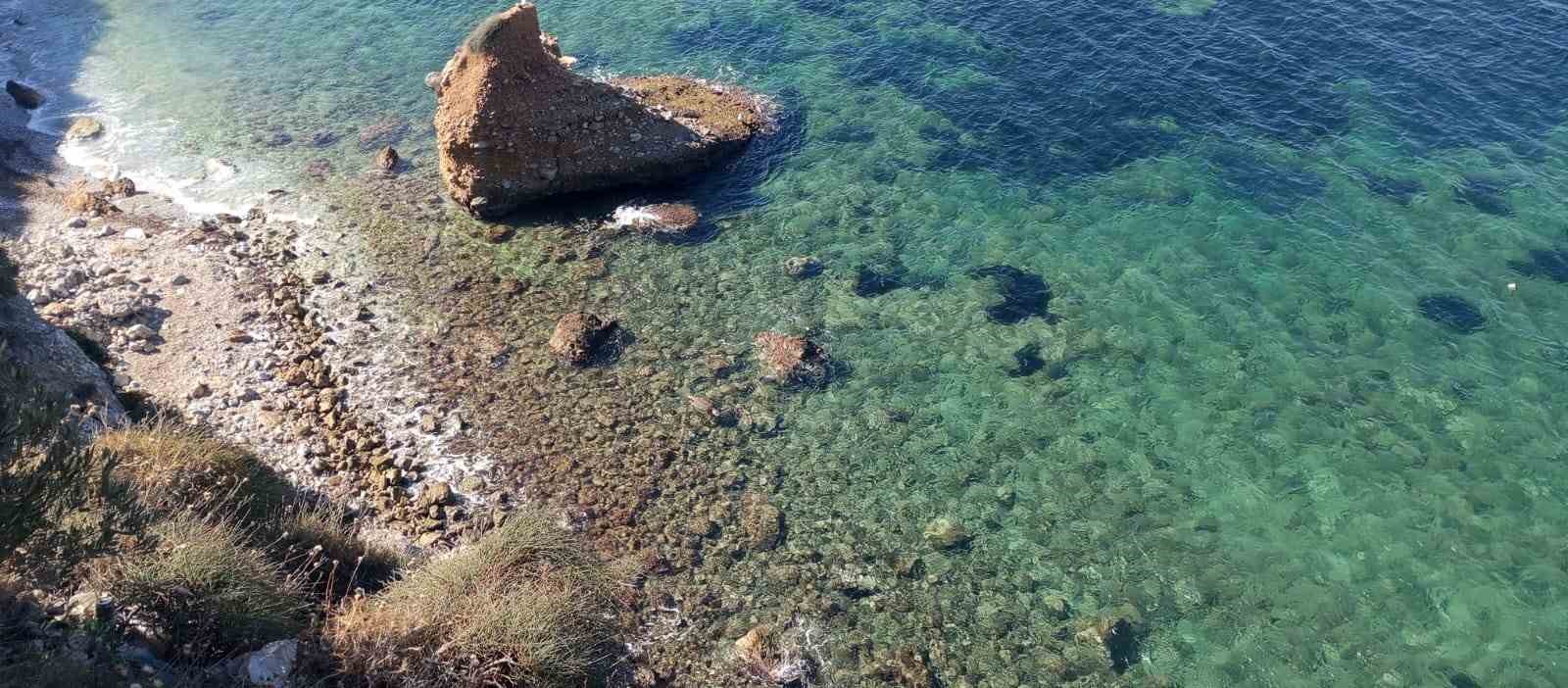 Ölü olarak bulunan caretta, dalgıçlar tarafından karaya çıkarıldı
