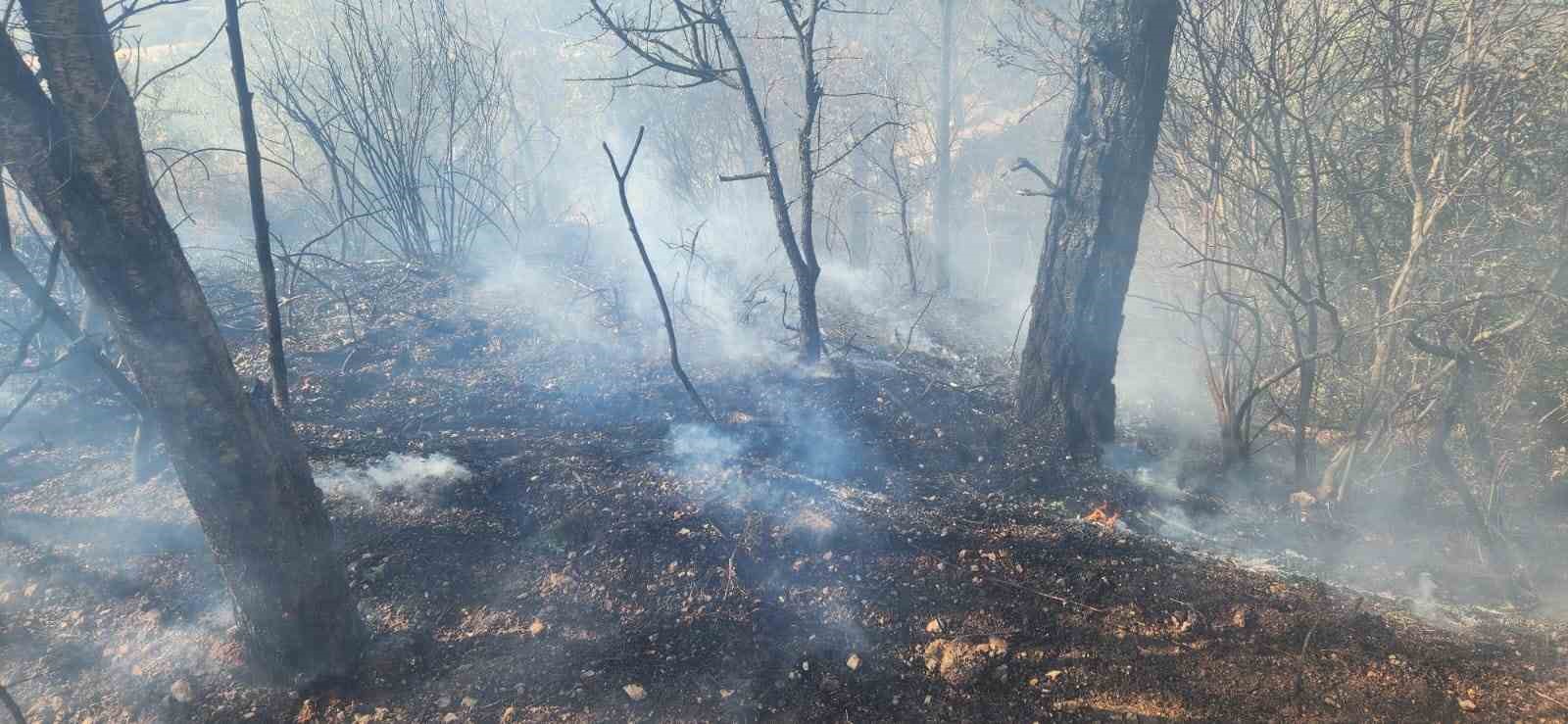 Zeytinlik alanda çıkan yangına havadan ve karadan müdahale edildi
