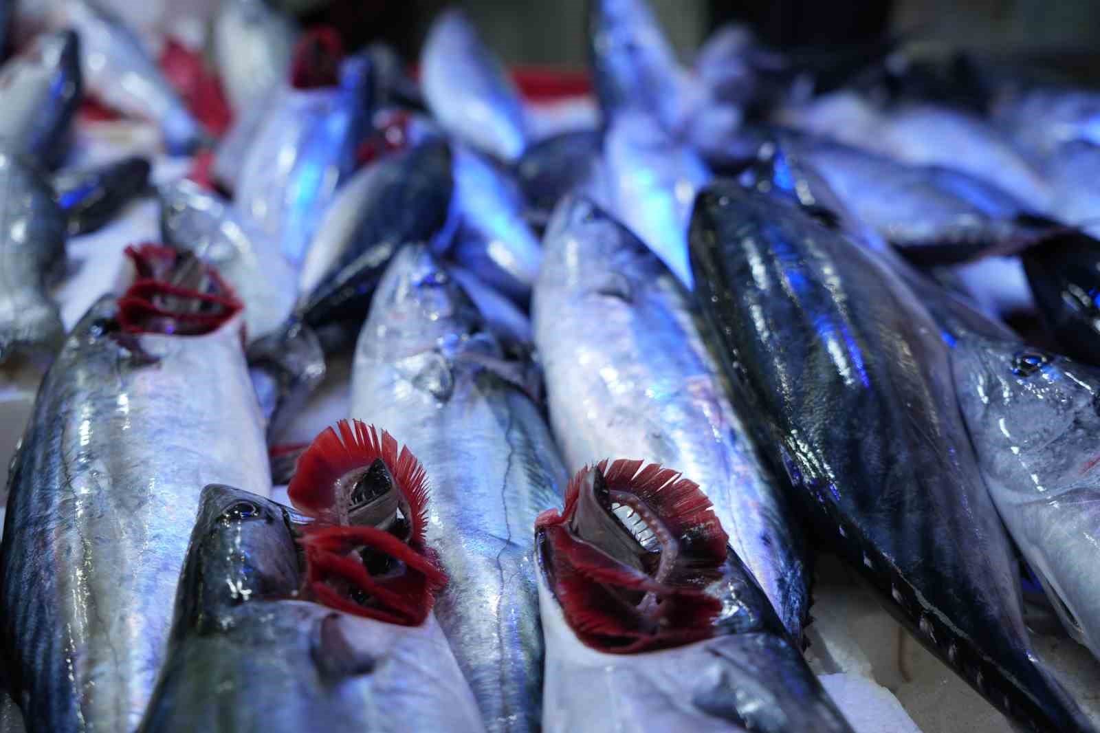 Fırtına dindi, balık tezgahları şenlendi
