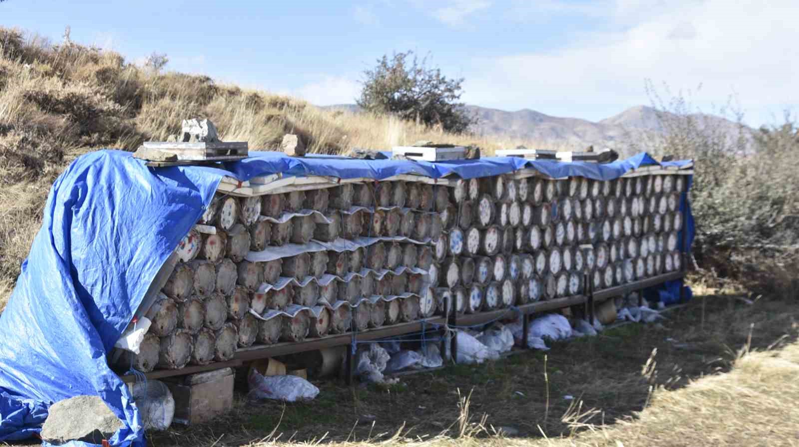 Bitlis’te dünyaca ünlü karakovan balının hasadına devam ediliyor
