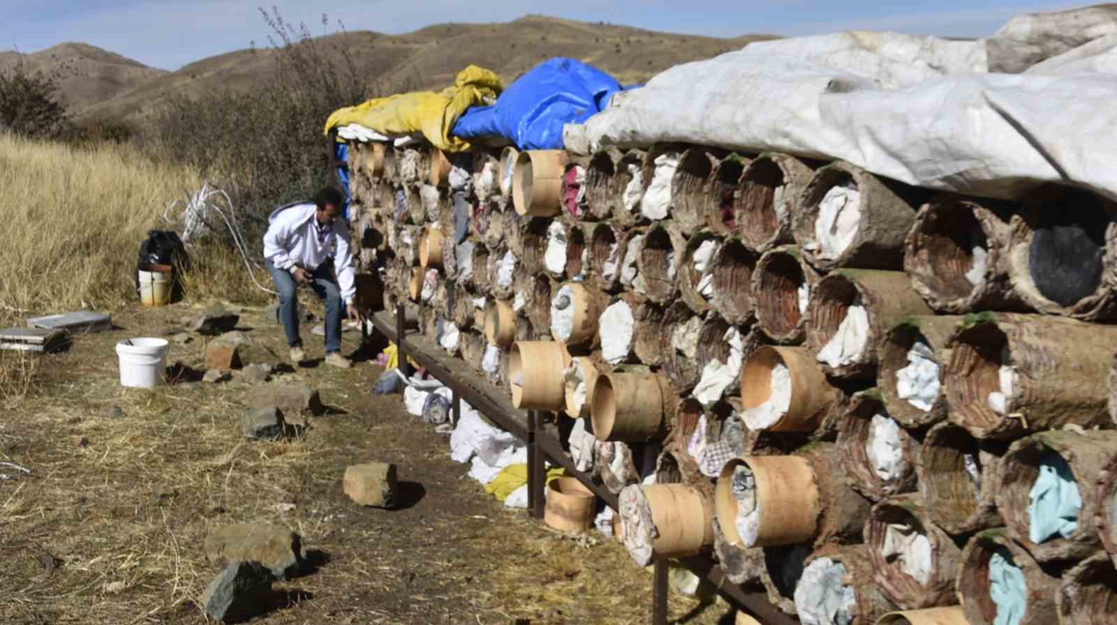 Bitlis’te dünyaca ünlü karakovan balının hasadına devam ediliyor
