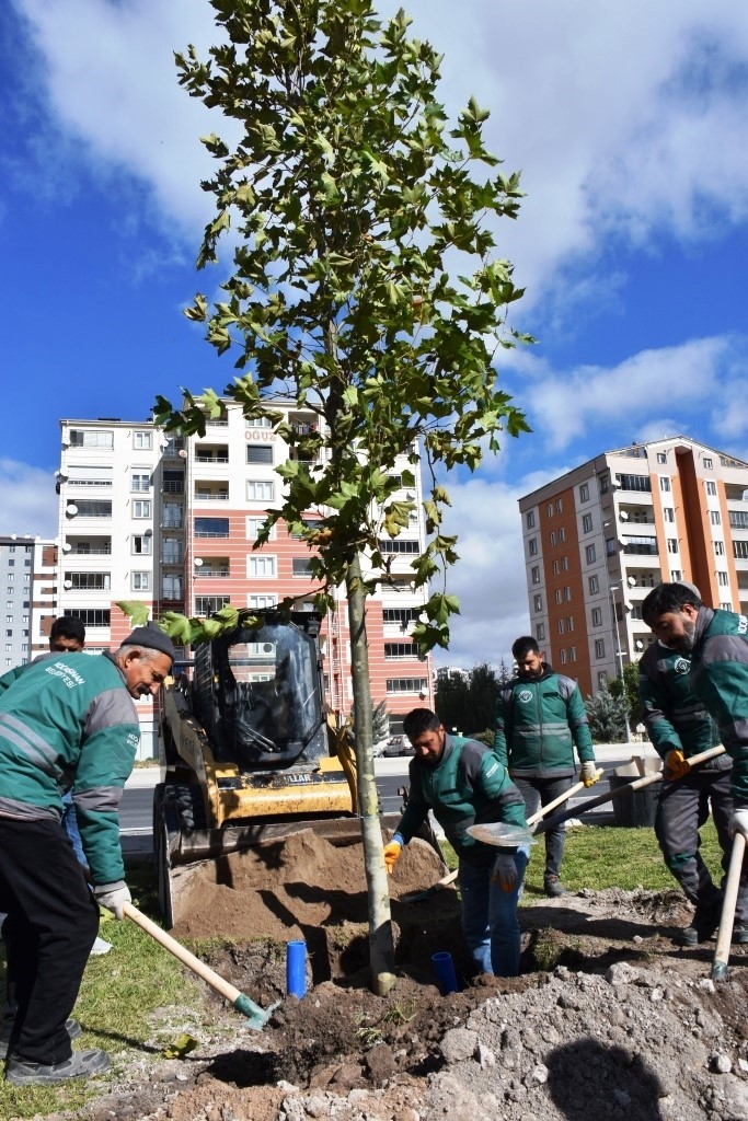 Başkan Çolakbayrakdar: 