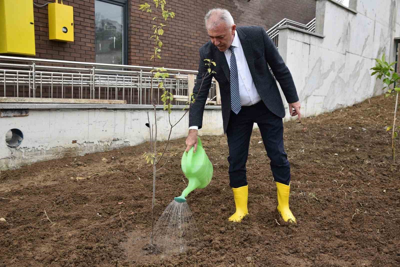 Atakum’daki okullarda meyve ağaçları yetiştirilecek
