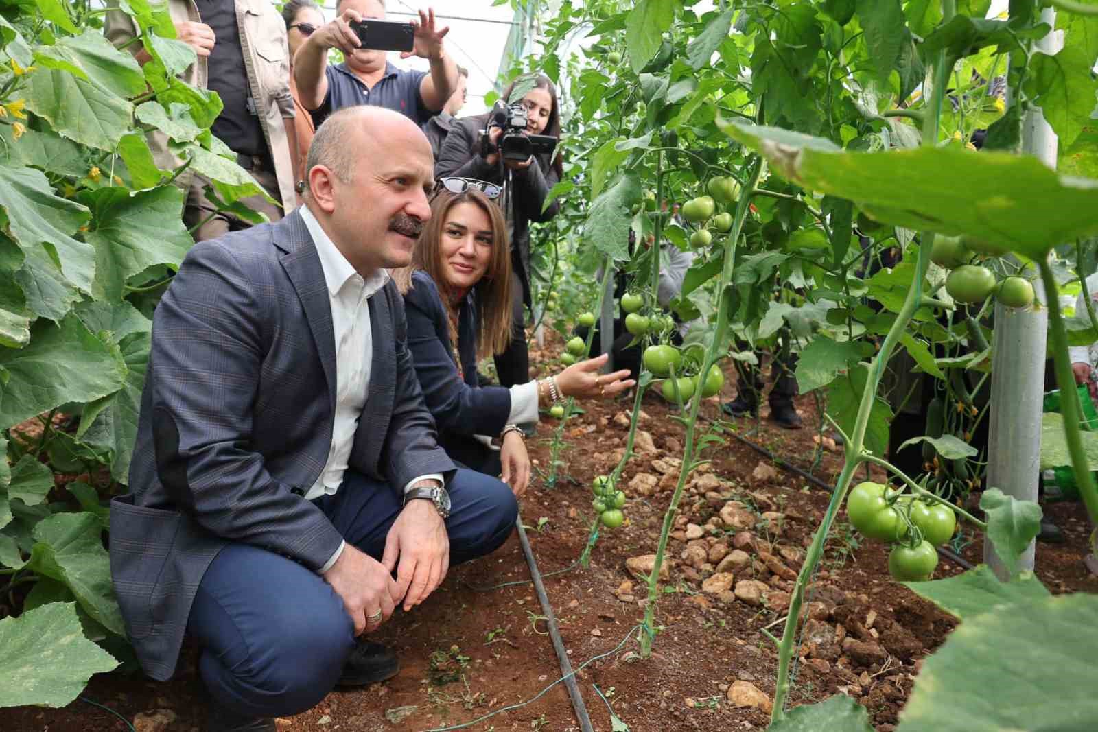 Vali Varol, kooperatif kuran kadınların serasını inceledi
