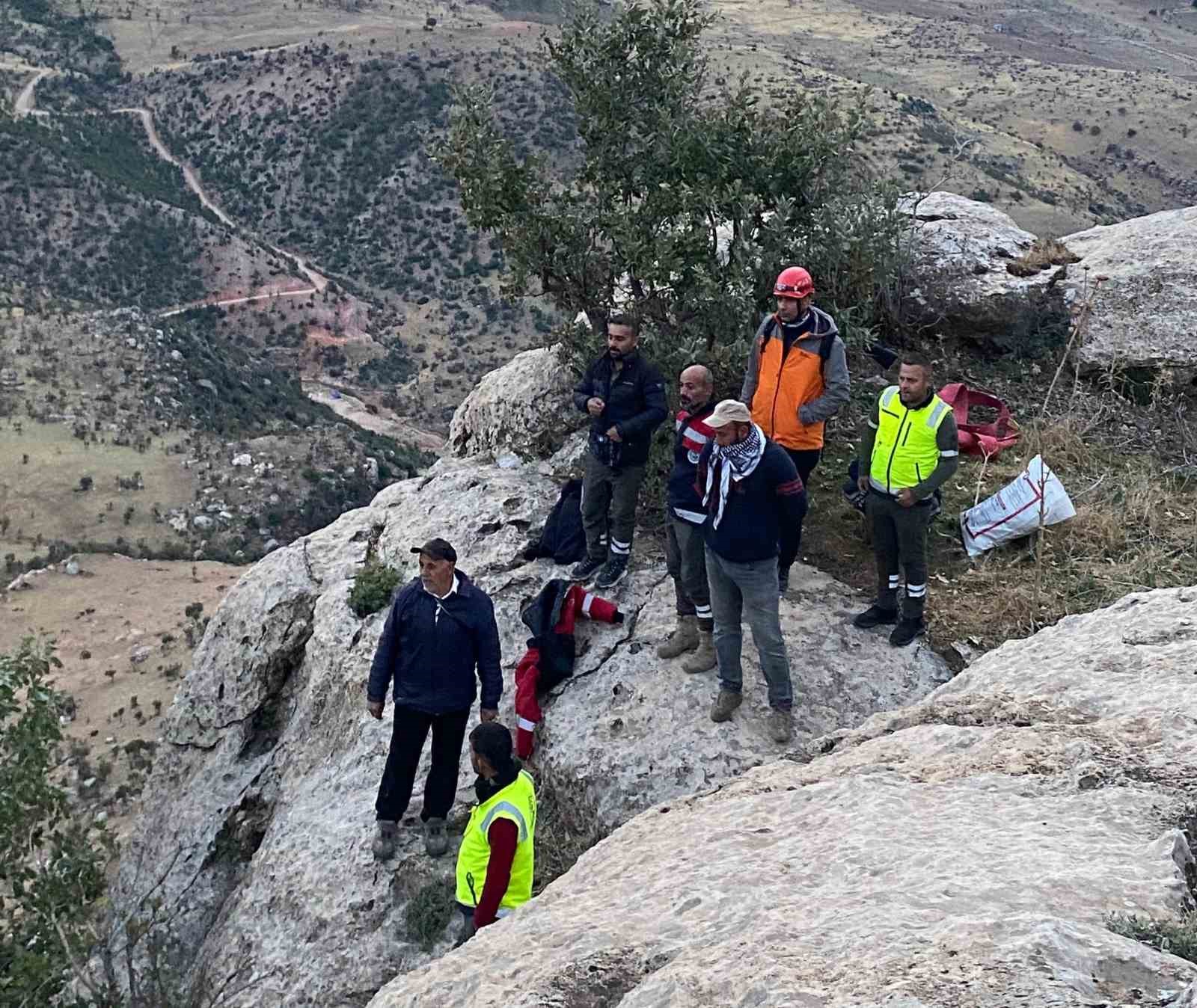 Siirt’te çukurda mahsur kalan inekler kurtarıldı
