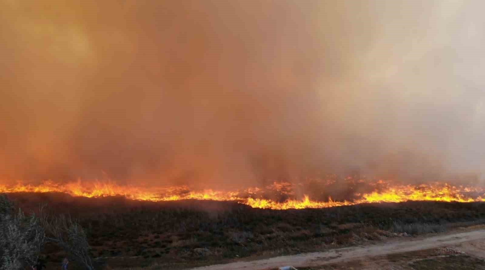 400 dönümlük mısır tarlası ve merada korkutan yangın
