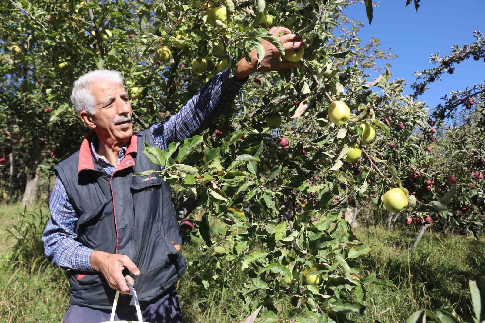 Meyveciliği hobiden ticarete dönüştürdü
