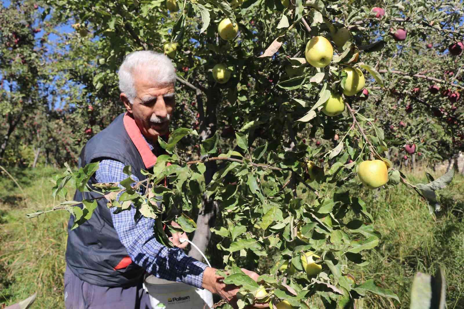 Meyveciliği hobiden ticarete dönüştürdü
