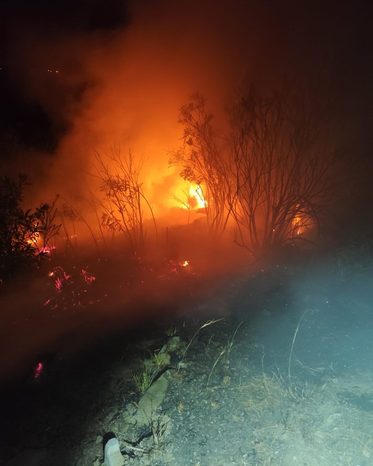 Antakya’da ormanlık alanda yangın
