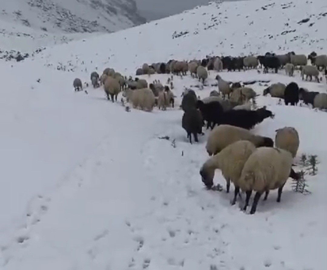 Başkale’de kar etkili oldu, yollar kapandı
