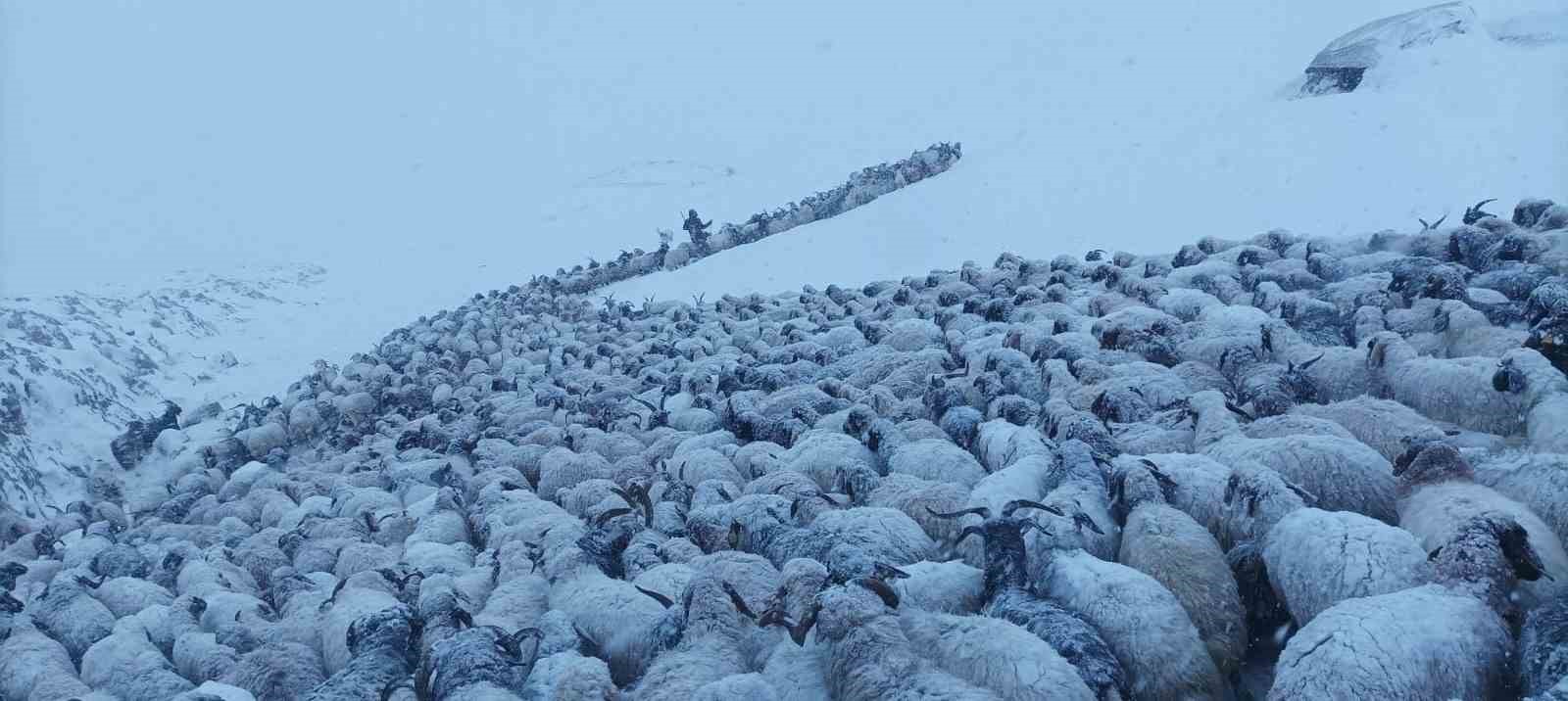 Başkale’de kar etkili oldu, yollar kapandı
