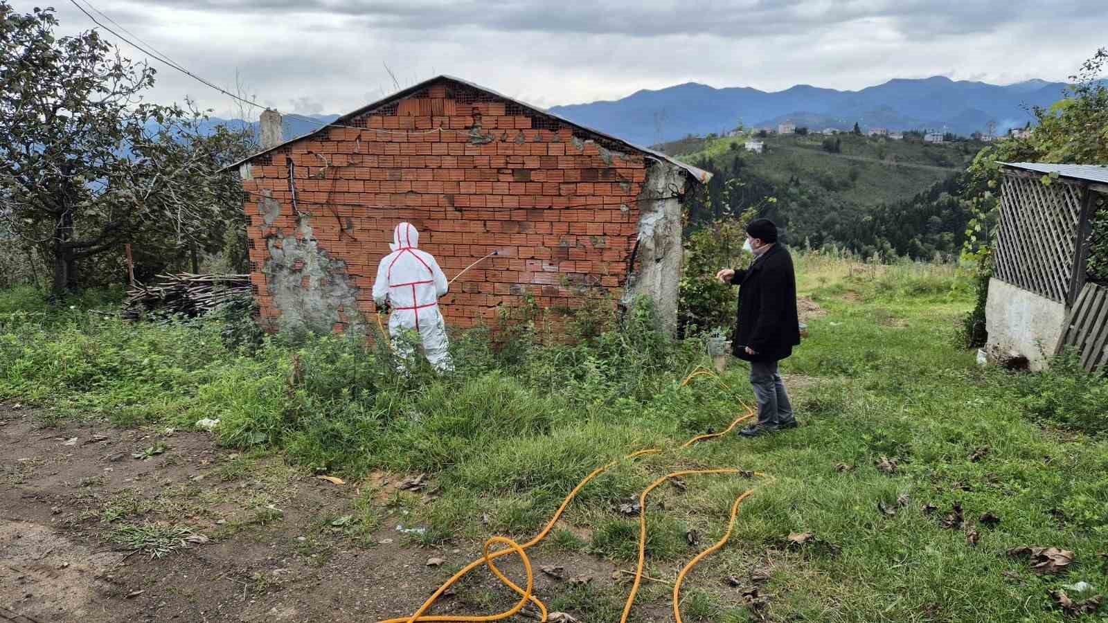 Doğu Karadeniz’in en büyük ilçesi Ortahisar’da kahverengi kokarca ile mücadelede ilaçlama seferberliği başlatıldı
