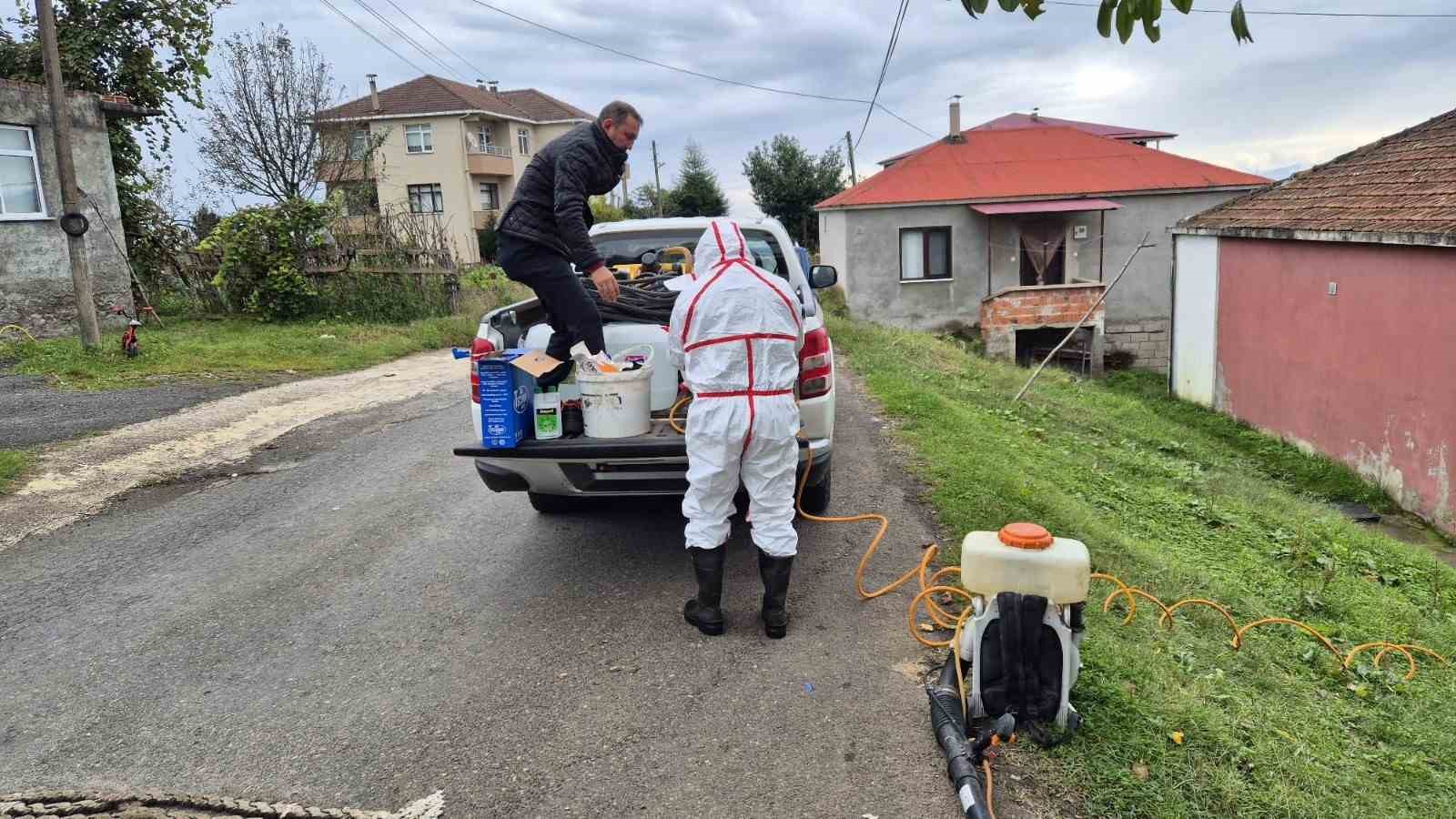 Doğu Karadeniz’in en büyük ilçesi Ortahisar’da kahverengi kokarca ile mücadelede ilaçlama seferberliği başlatıldı
