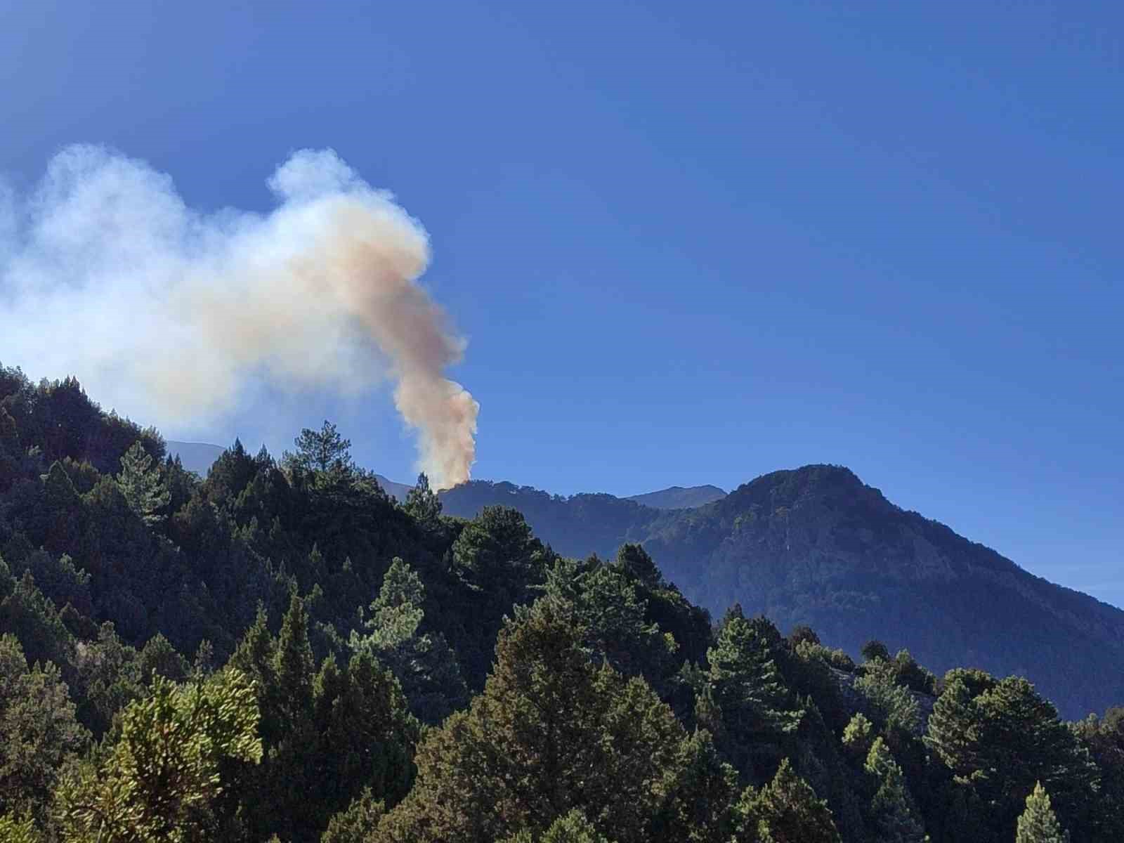 Denizli’deki yangına 6 helikopterle müdahale ediliyor
