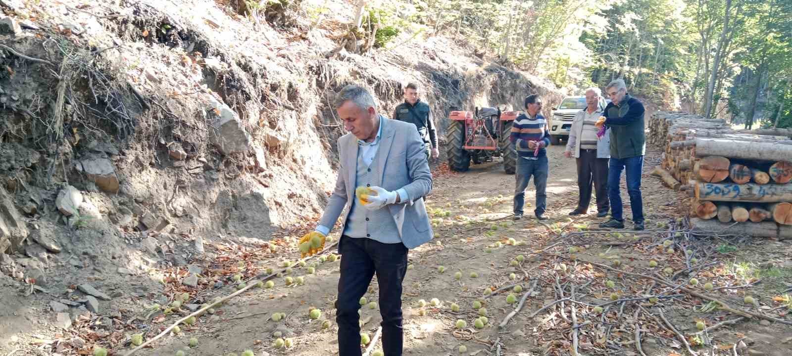 Orman Bölge Müdürü Dingil, Kütahya, Emet ve Simav’da incelemelerde bulundu
