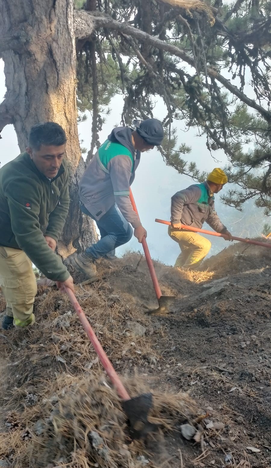 Sarp arazide devam eden orman yangınında alevlerle mücadele sürüyor
