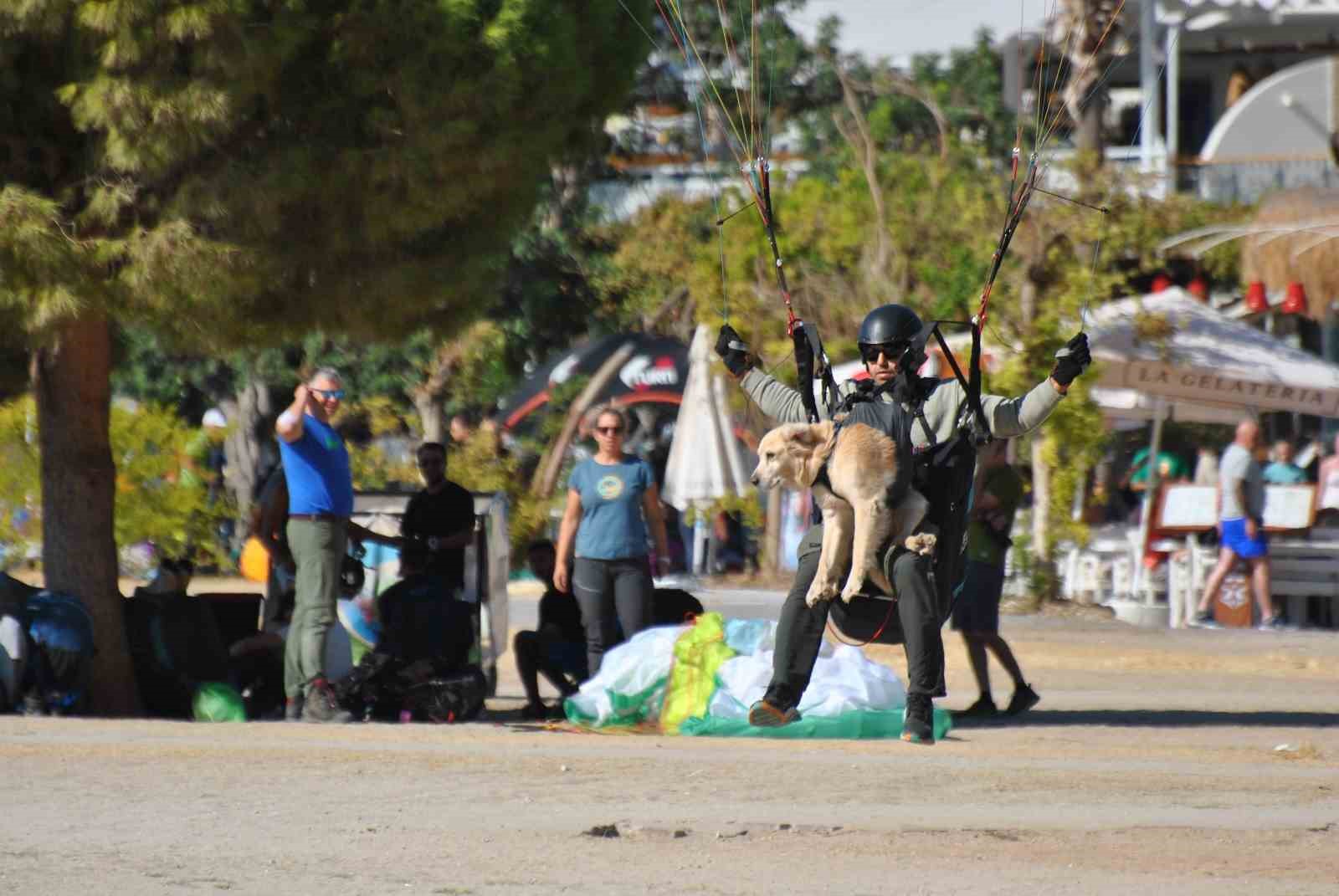 Köpeğiyle birlikte bin 700 metreden atladı
