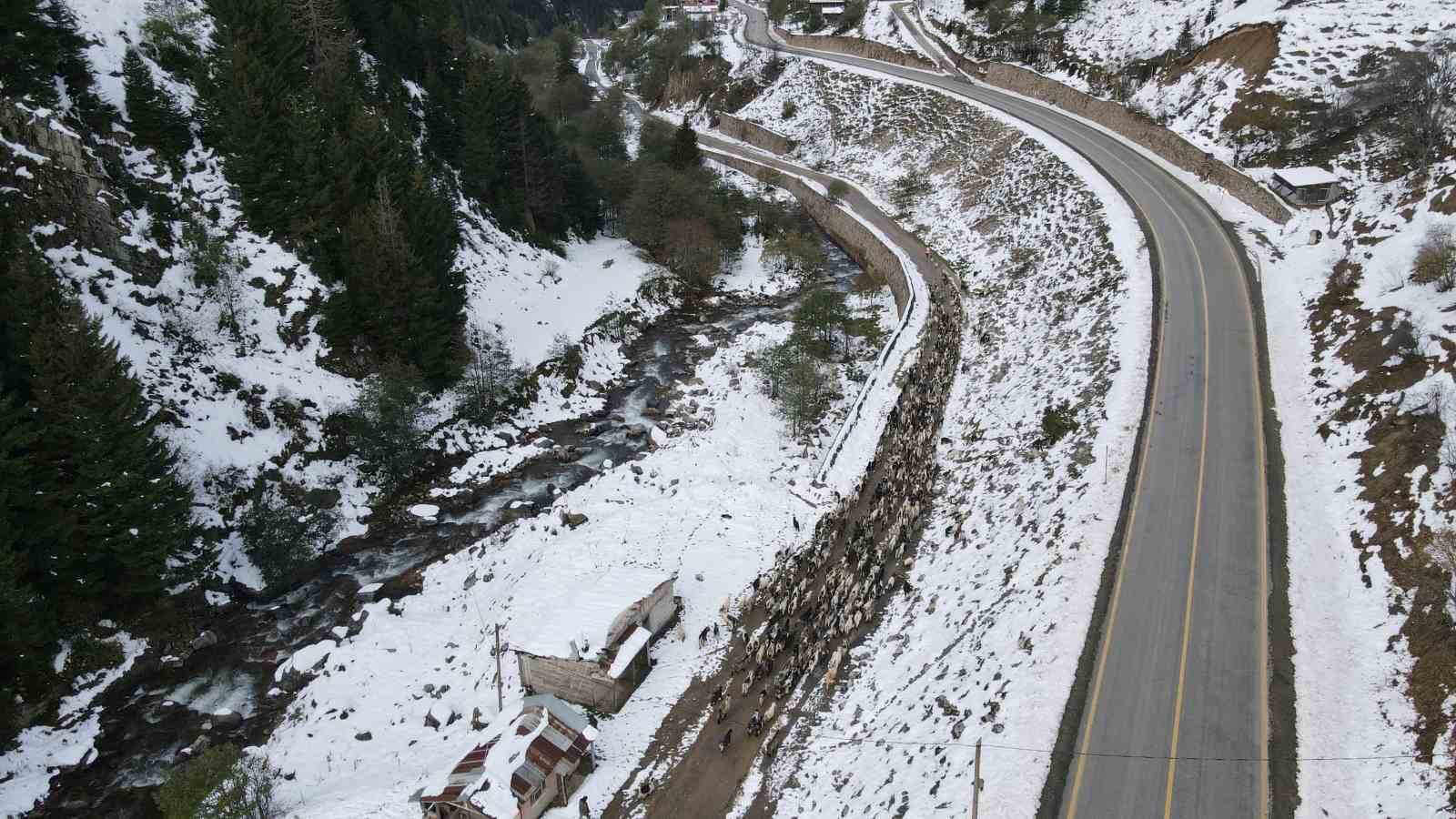 Rize’nin karlı yaylalarından kartpostallık görüntüler
