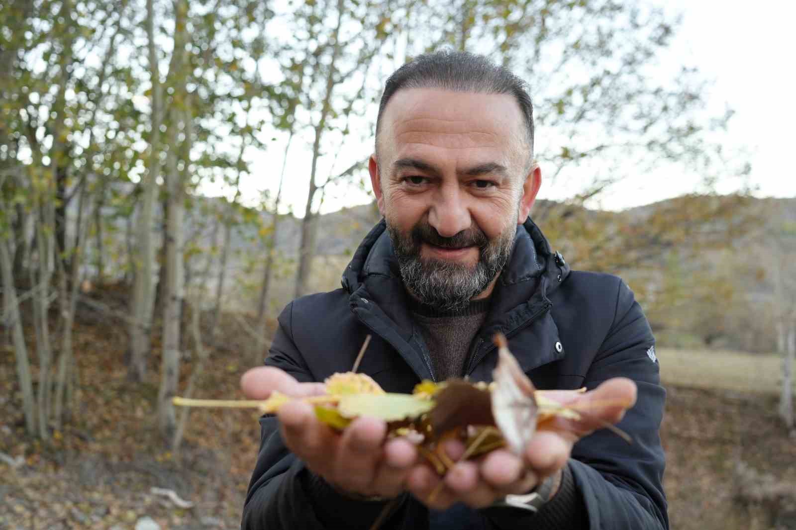 Sonbaharın güzelliği Erzincan’ın görkemli dağlarıyla buluştu
