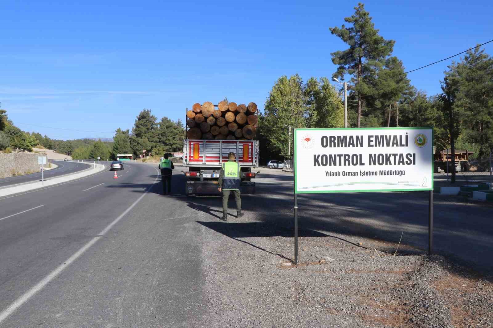 Muğla Orman Bölge Müdürlüğü’nde 75 noktada orman emvali denetimi gerçekleştirildi
