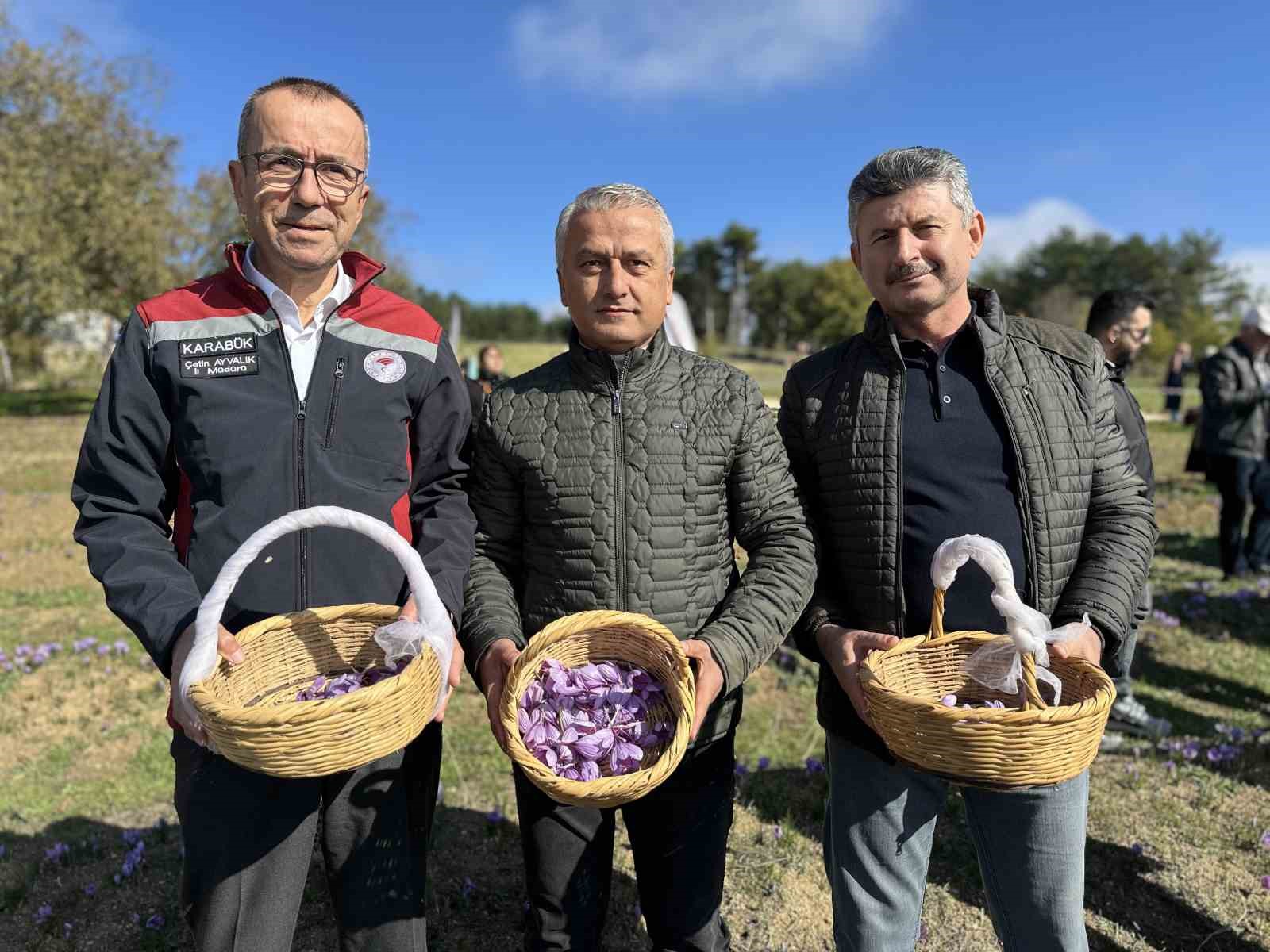 ‘Dünyanın en pahalı baharatı’ safranı hasat etmek için soluğu tarlalarda aldılar
