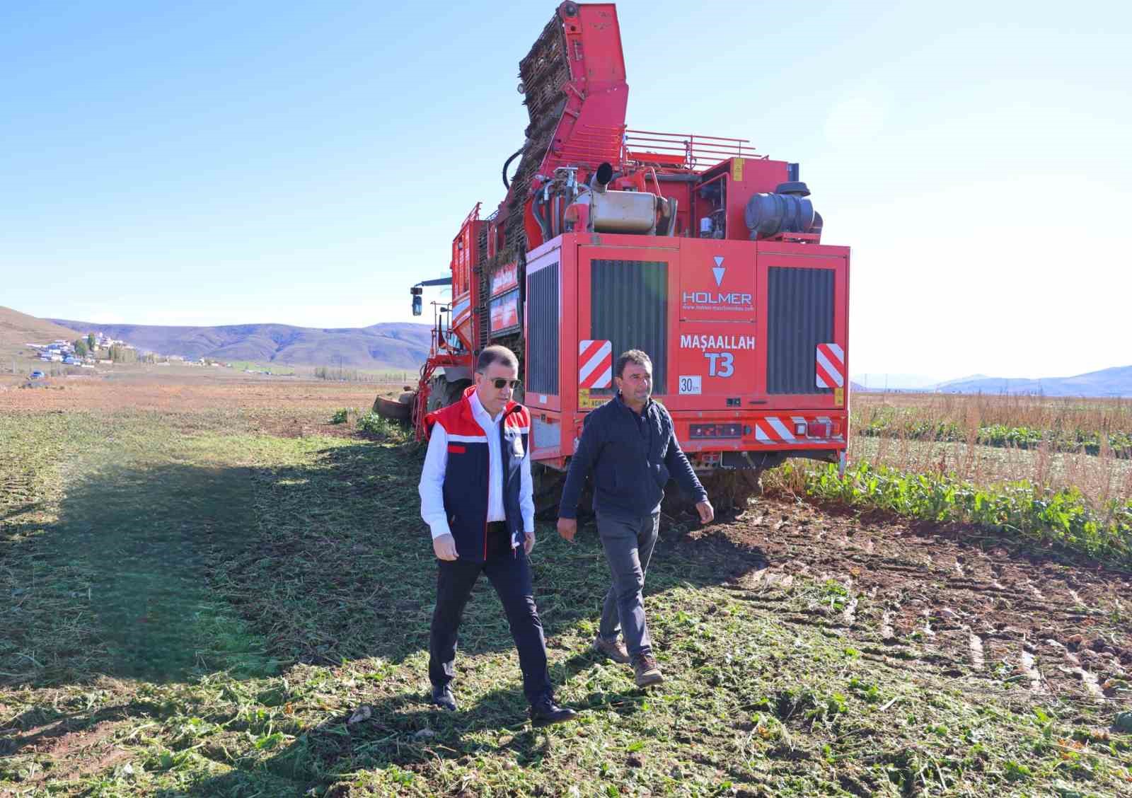 Bayburt’ta 50 bin dekar alanda üretimi yapılan şeker pancarından 250 bin tonun üzerinde rekolte bekleniyor
