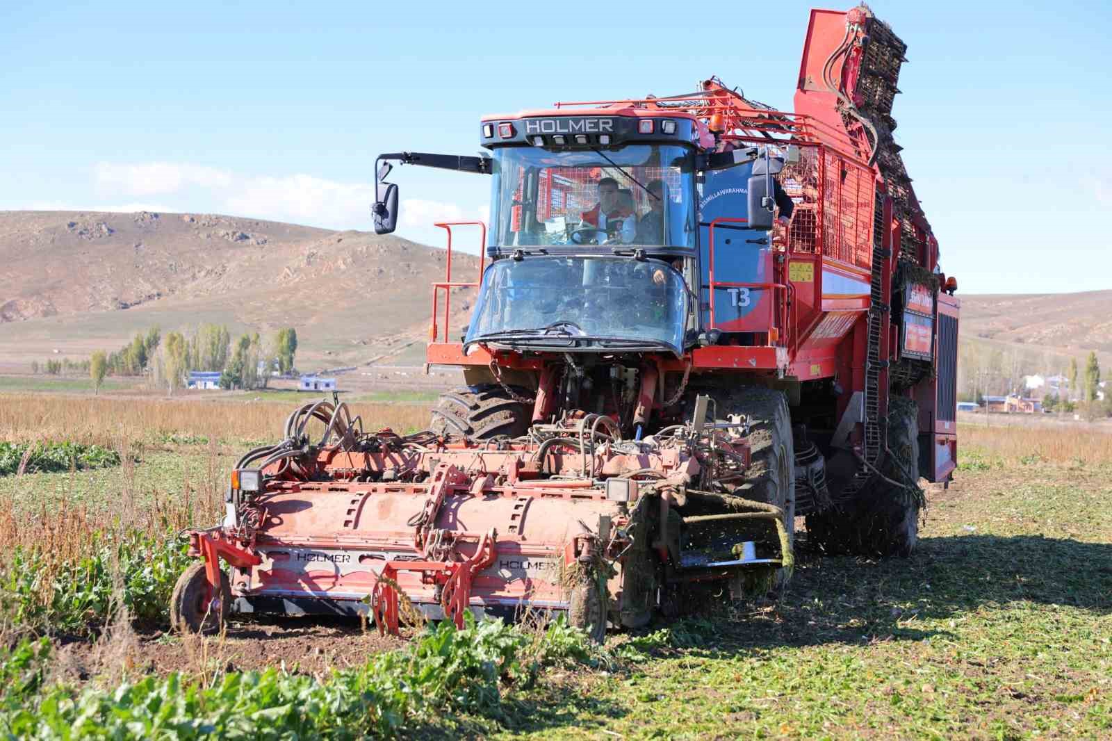 Bayburt’ta 50 bin dekar alanda üretimi yapılan şeker pancarından 250 bin tonun üzerinde rekolte bekleniyor
