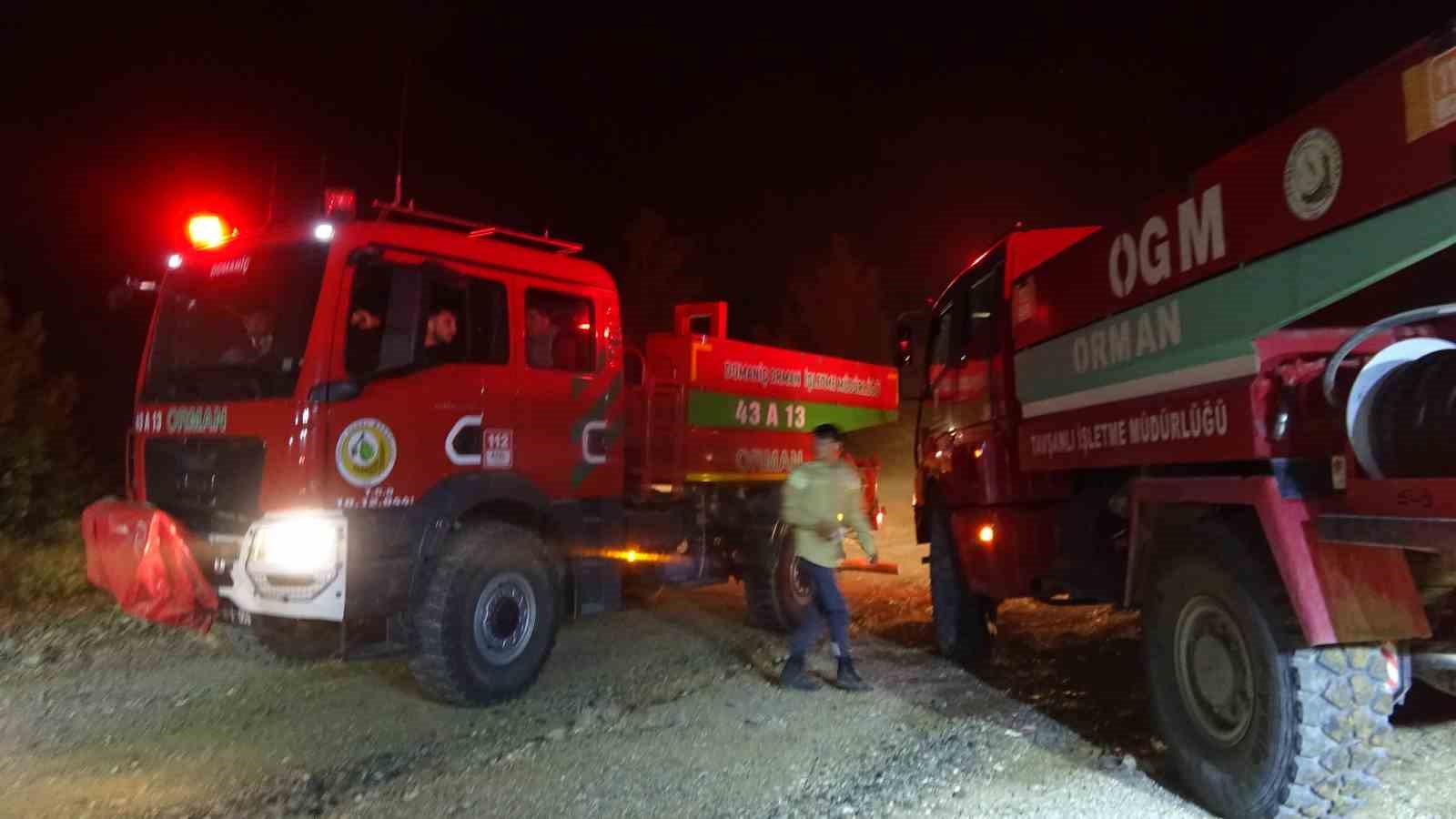 Kütahya - Bursa sınırında çıkan orman yangını söndürüldü
