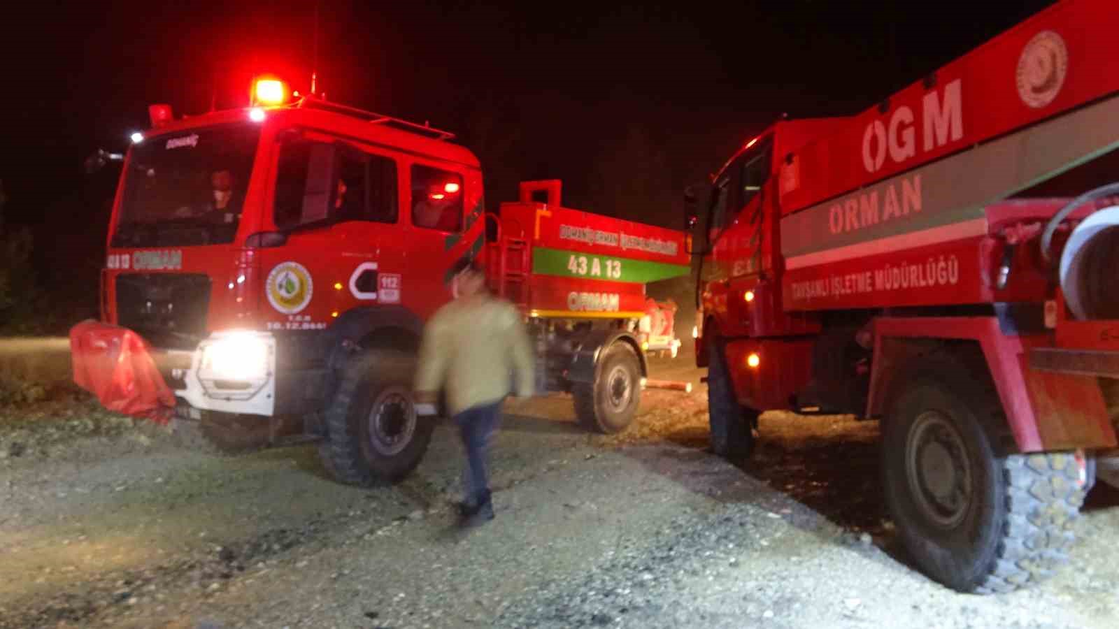 Kütahya - Bursa sınırında çıkan orman yangını söndürüldü
