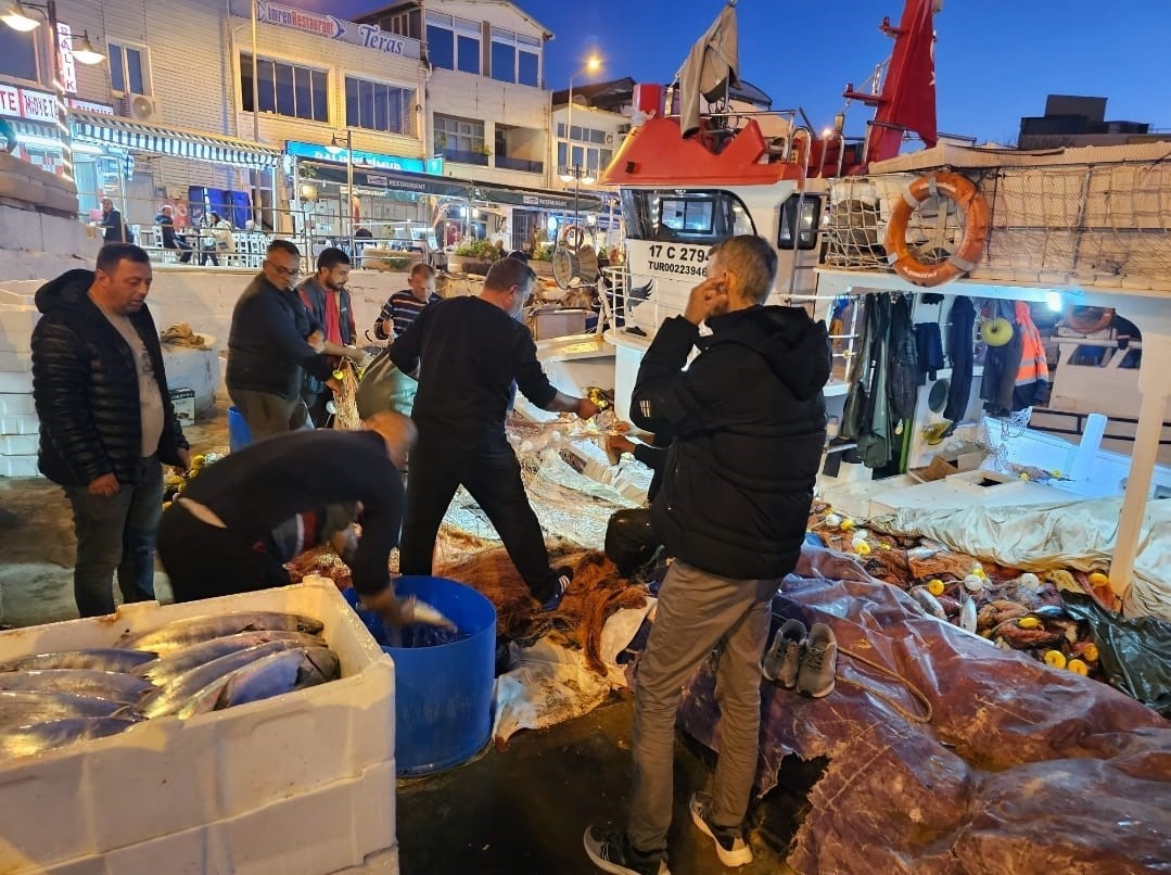 Çanakkale’de balıkçıların ağına 800 çift palamut takıldı
