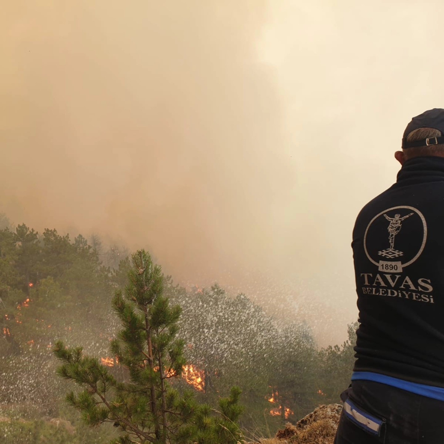 Karcı Dağında başlayan yangın Tavas sınırlarına dayandı
