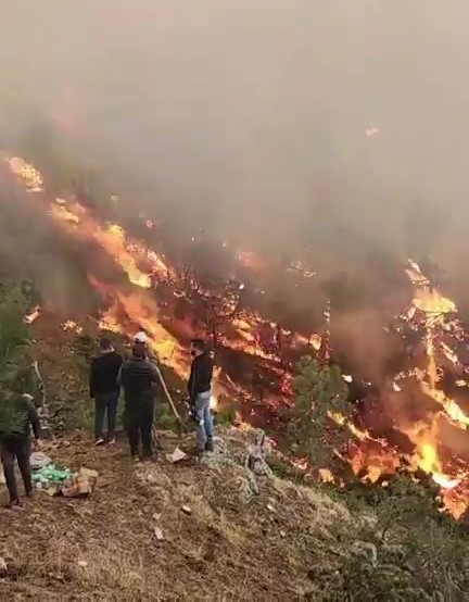 Karcı Dağında başlayan yangın Tavas sınırlarına dayandı
