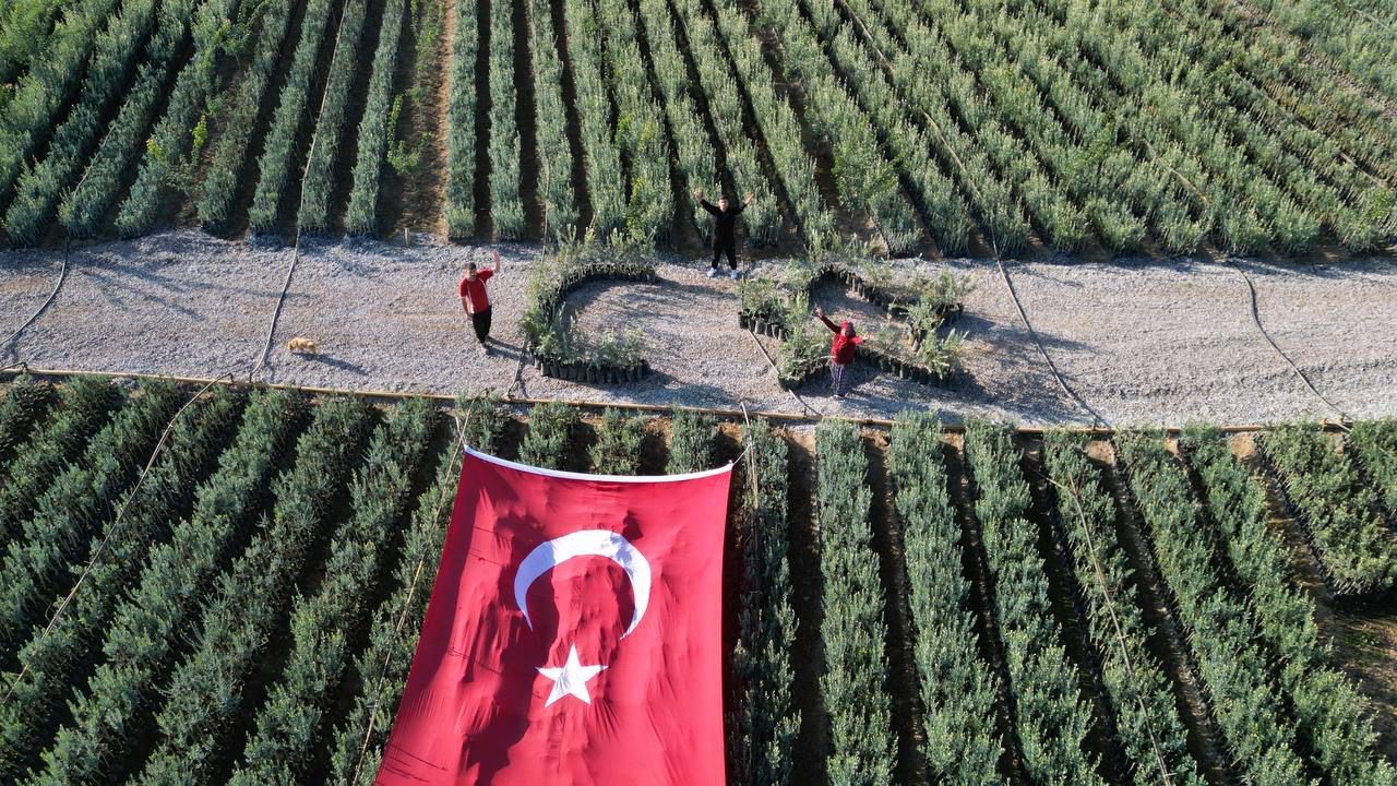 Cumhuriyetin 101 için zeytin fidanlarıyla Türk Bayrağı’nı oluşturdu
