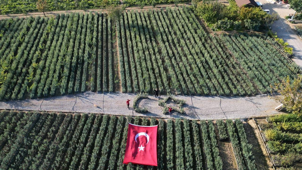 Cumhuriyetin 101 için zeytin fidanlarıyla Türk Bayrağı’nı oluşturdu
