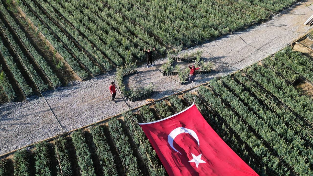 Cumhuriyetin 101 için zeytin fidanlarıyla Türk Bayrağı’nı oluşturdu
