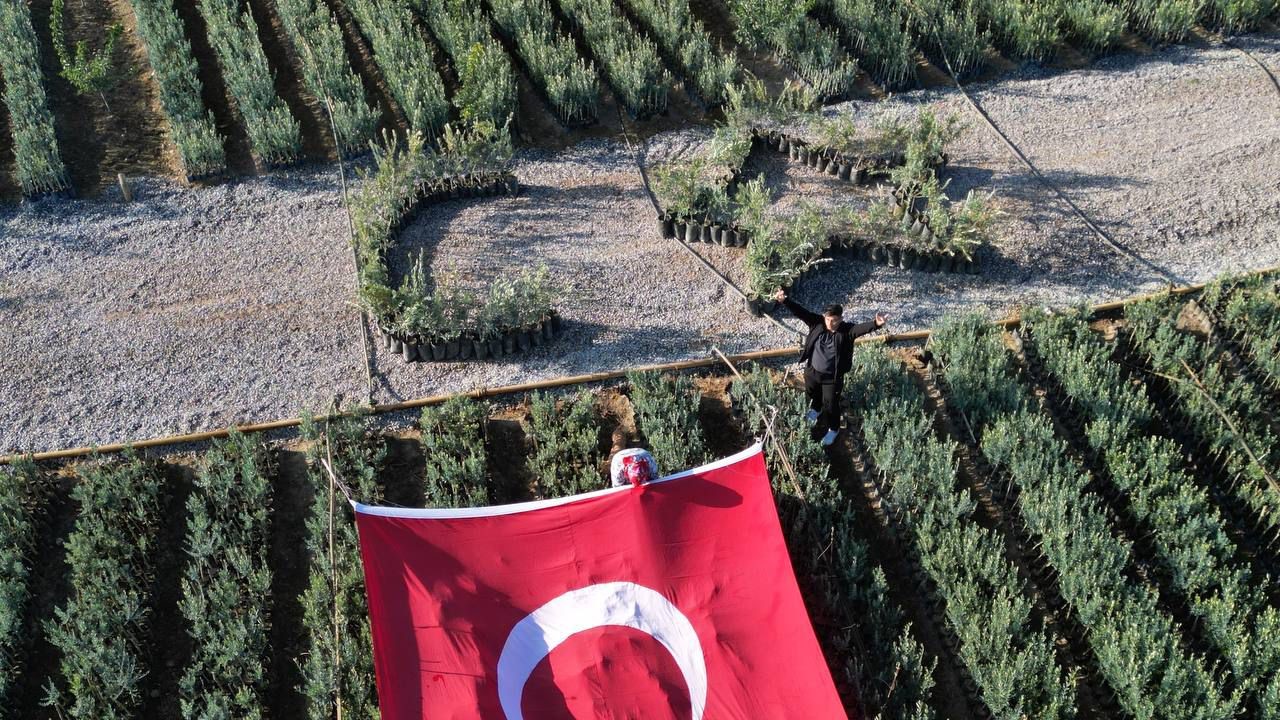 Cumhuriyetin 101 için zeytin fidanlarıyla Türk Bayrağı’nı oluşturdu
