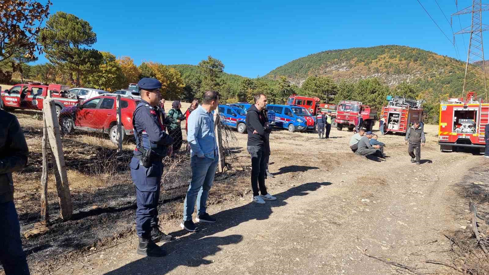 Kütahya’da anız yangını ormana sıçradı
